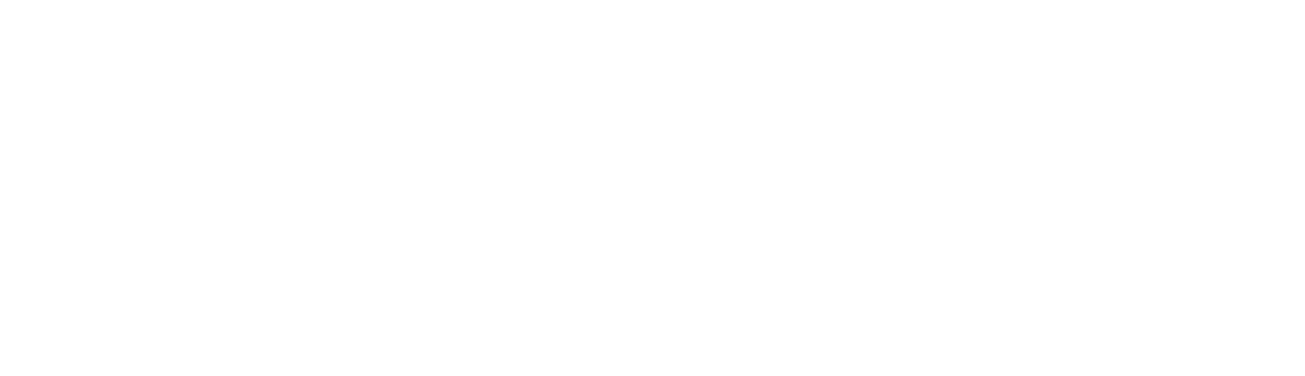 VIPTEL - LOGO